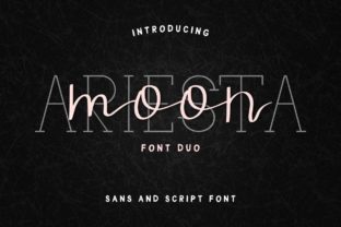 Ariesta Moon Duo Font for Creative Projects