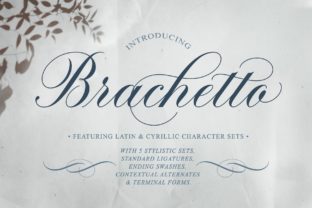 Brachetto: A Sensual Script Font for Business Branding