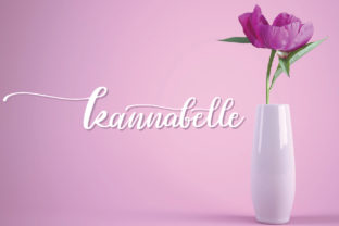 Kannabelle Font for Business Branding